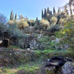 Buildable plot with preapproved license and sea views in Agios Gordios, Corfu