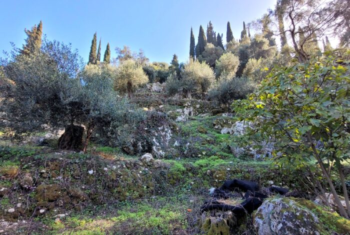 Buildable plot with preapproved license and sea views in Agios Gordios, Corfu