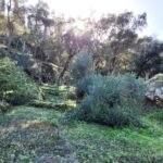 Investment plot in West Corfu, just 1km from the beach