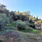 Land for sale in Agios Gordios, Corfu with sea and countryside view