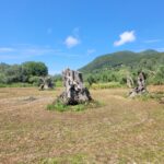 Development-ready flat plot close to Prasoudi beach in South Corfu