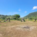 Investment land with easy access and natural surroundings near Corfu Town