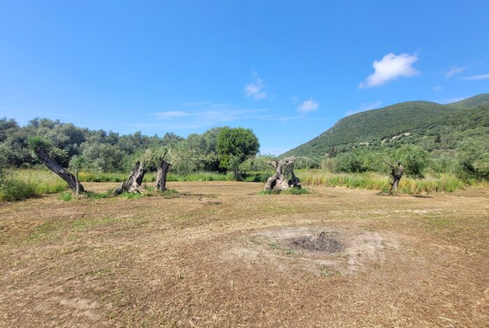 Investment land with easy access and natural surroundings near Corfu Town