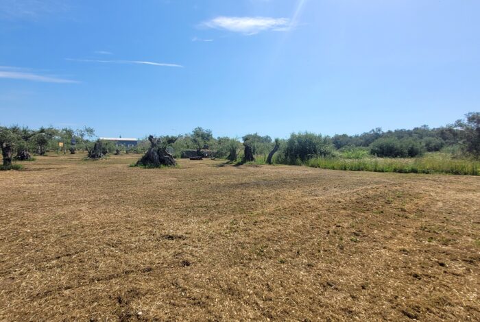 Spacious Corfu land parcel ideal for residential or tourist villa development