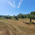 Flat 4,448 sq.m. plot for sale with road access in Agios Matthaios, South Corfu
