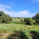 “Buildable Chrysiida land with existing permissions—prime for residential development