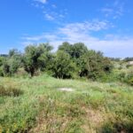 Plot in serene Central Corfu with permissions for three maisonettes, each with private pool