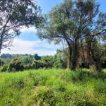 Chrysiida plot with countryside views, easy access, and immediate build potential