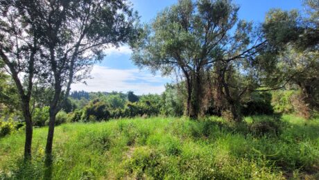 Real estate investment opportunity in Central Corfu with ready building license