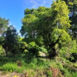 Large investment-ready land parcel in quiet Chrysiida, just 5 km from Corfu Town and the airpo