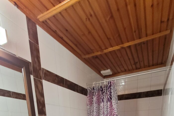 Shower bathroom in one of the studios