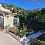 Landscaped garden with fruit trees and flowering plants in Kontogialos Corfu