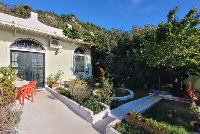 Landscaped garden with fruit trees and flowering plants in Kontogialos Corfu