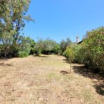 Large fenced property with flat terrain in central Corfu