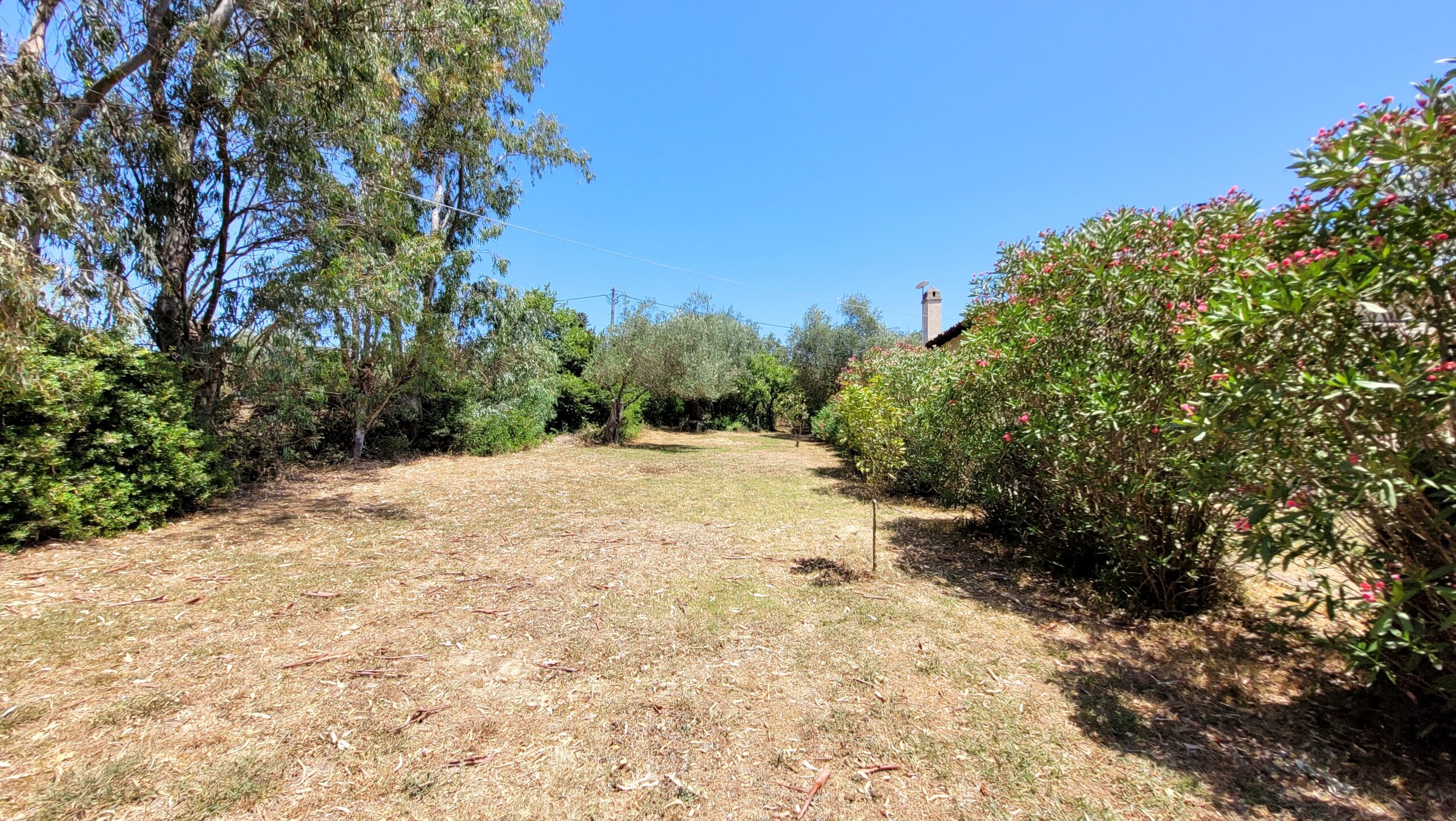 Large fenced property with flat terrain in central Corfu