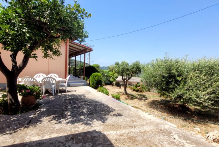 Lush garden with flowers and mature trees in Corfiot property