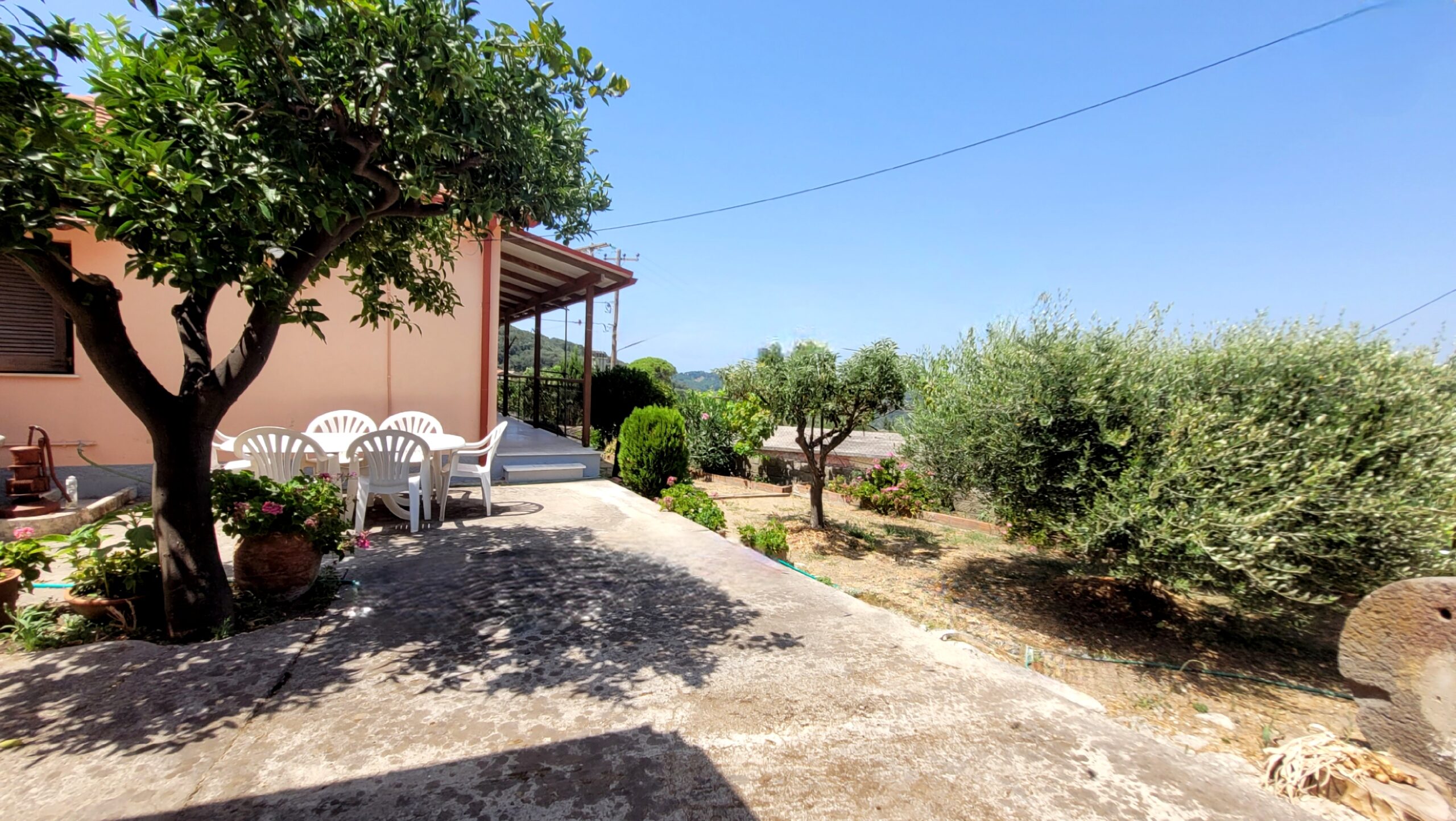Lush garden with flowers and mature trees in Corfiot property