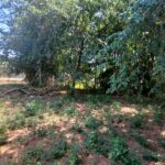 Flat plot for sale in Acharavi, North Corfu near the beach