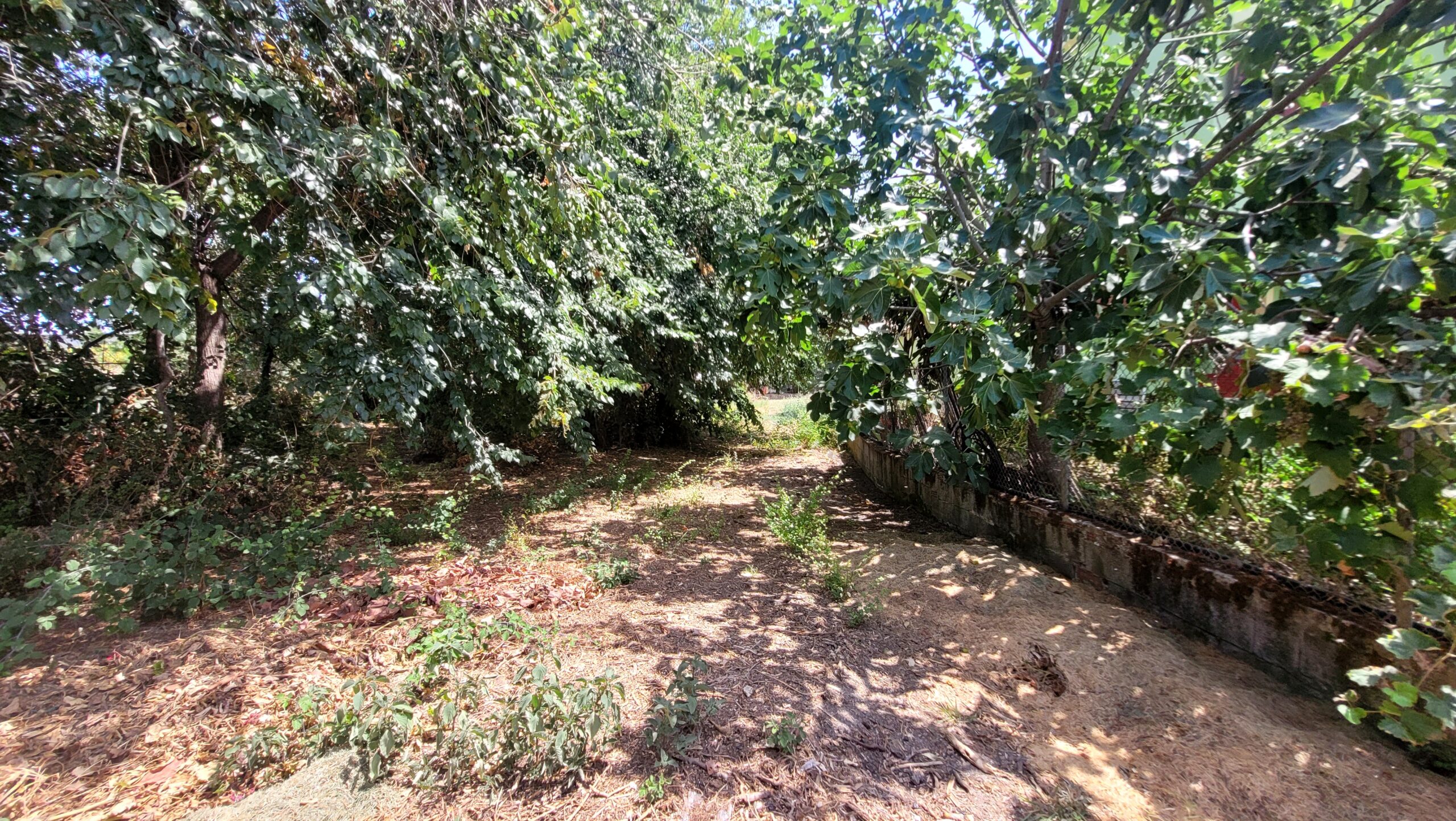 Buildable land in quiet area of Acharavi, Corfu