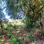 Investment opportunity: 916 sq.m. plot in North Corfu