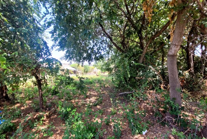 Investment opportunity: 916 sq.m. plot in North Corfu
