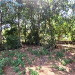 Plot with 400 sq.m. building capacity in Acharavi