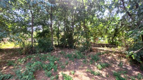 Plot with 400 sq.m. building capacity in Acharavi