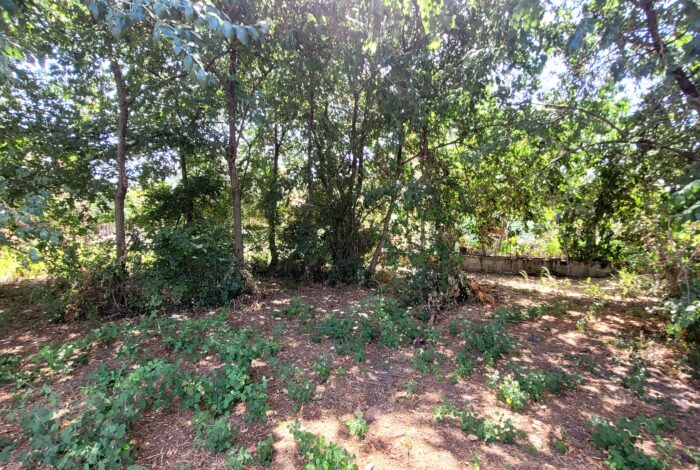 Plot with 400 sq.m. building capacity in Acharavi