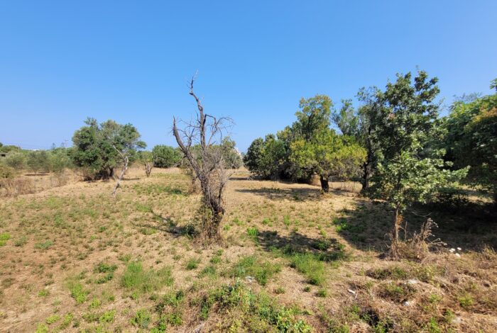 Flat plot for sale in Almyros Corfu with building rights