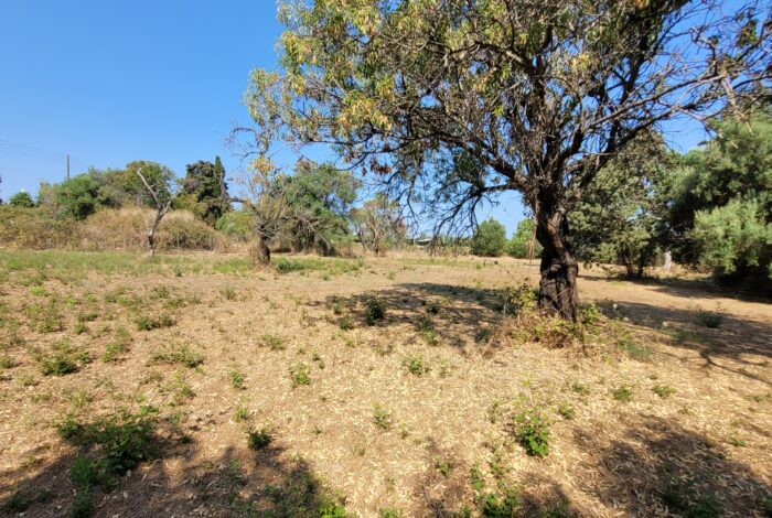 Easily buildable plot with road access in Corfu