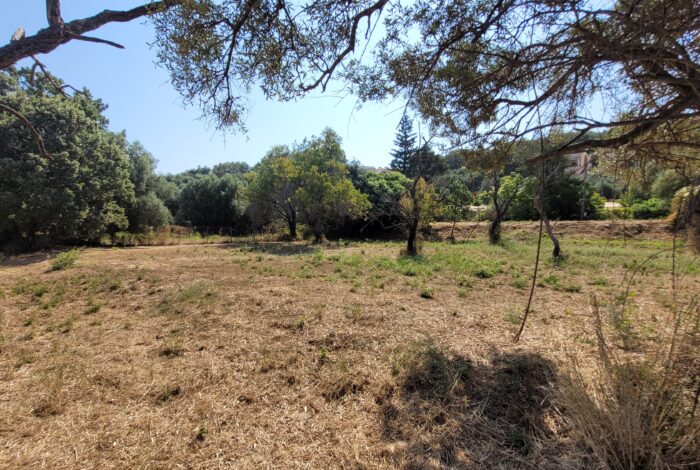 Investment plot in Almyros North Corfu ideal for residence
