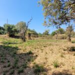 Corfu land for sale in Almyros with 186 sq.m. building potential
