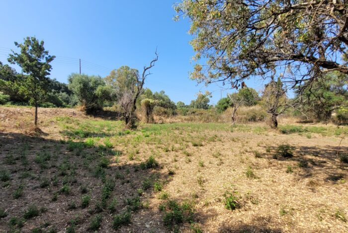 Corfu land for sale in Almyros with 186 sq.m. building potential
