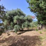Plot near Achilleion Palace for sale