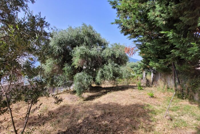 Plot near Achilleion Palace for sale