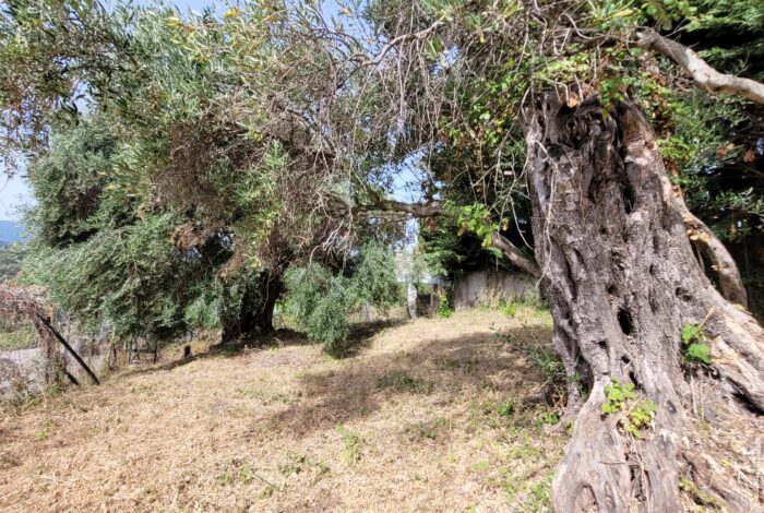 Small residential plot in traditional village Gastouri