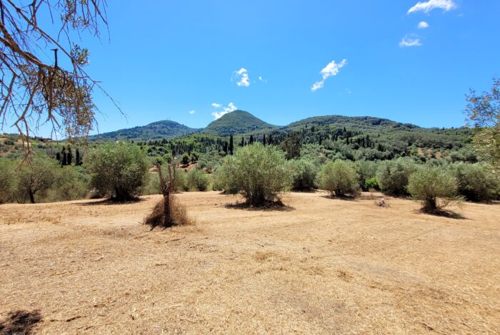 Large plot of land for sale in Messonghi South Corfu