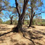 Investment land with countryside views in South Corfu