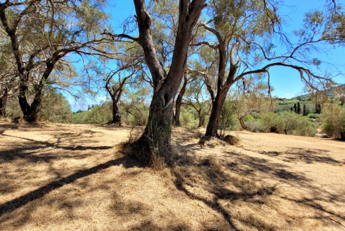 Investment land with countryside views in South Corfu
