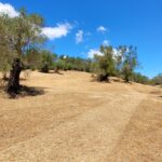 Buildable land in Corfu with valid license for two villas