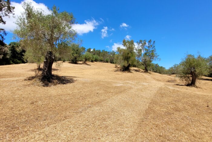 Buildable land in Corfu with valid license for two villas