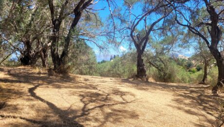 Corfu real estate opportunity with building permit valid until 2028