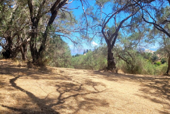 Corfu real estate opportunity with building permit valid until 2028