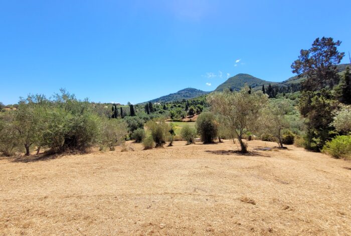 Land for development with distant sea and greenery views
