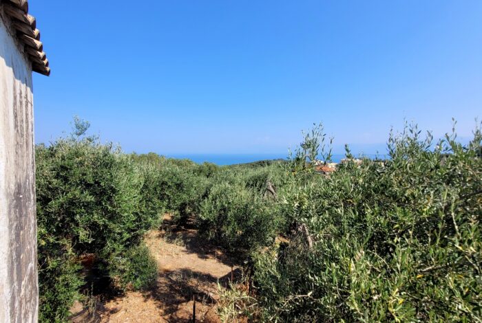 Unobstructed views of the Ionian Sea from upper terrace