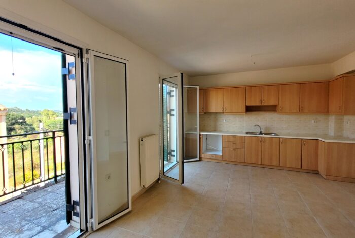 Modern kitchen space with built-in cabinets