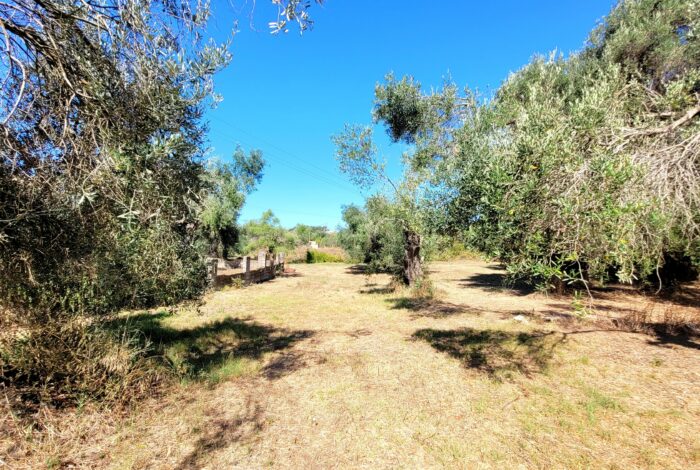 Garden space ideal for outdoor living in house for sale in South Corfu