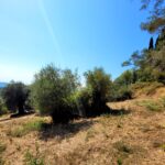 Large plot with building potential in Doukades