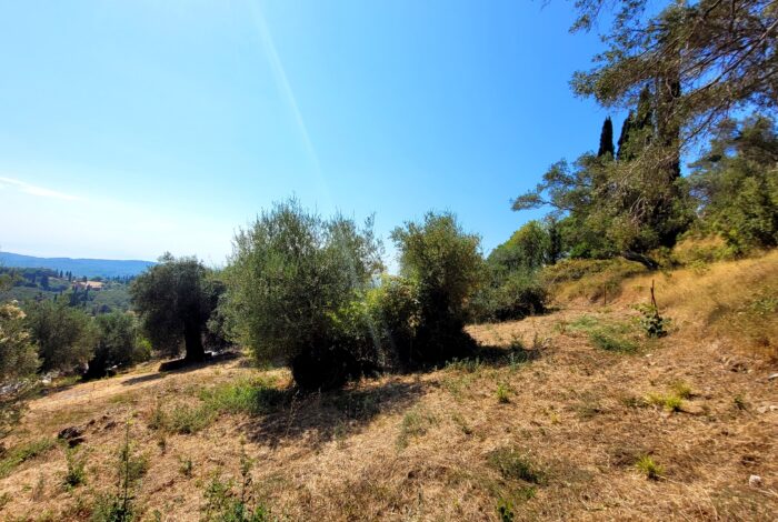 Large plot with building potential in Doukades