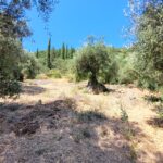 Natural land for development in central Corfu